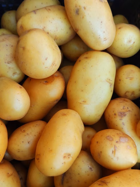 Verduras e Folhas (unid.)
